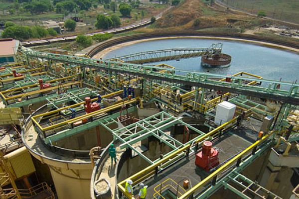 erg-plant-04-l56B94D0B-60DC-9BB8-3235-135F8725DD3A.jpg